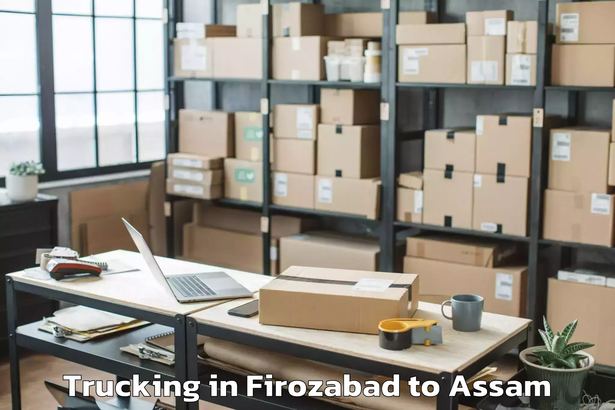 Professional Firozabad to Numaligarh Trucking